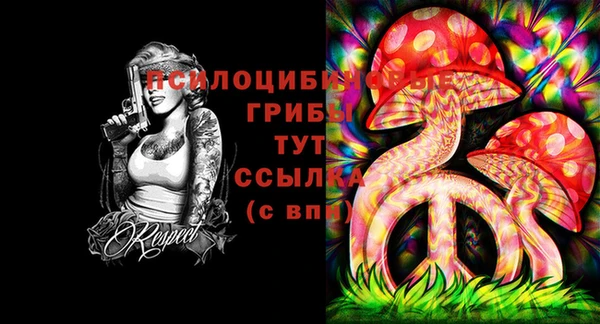первитин Абинск