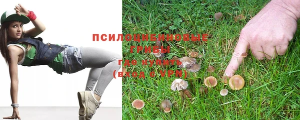 СК Няндома