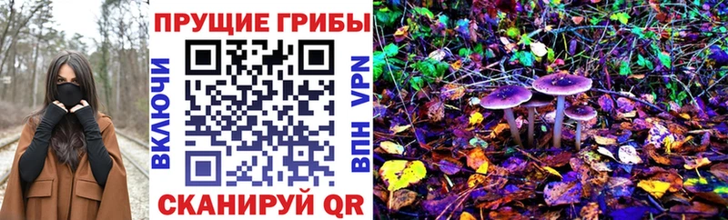 Галлюциногенные грибы GOLDEN TEACHER  blacksprut ТОР  Шимановск 